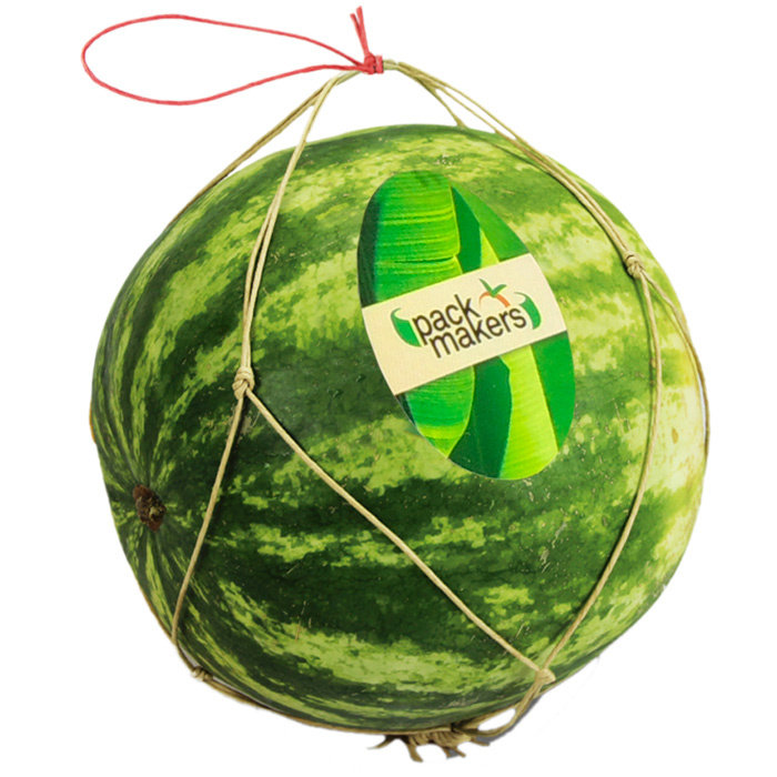 Bolsa de papel Wet strenght con ventilación para uva